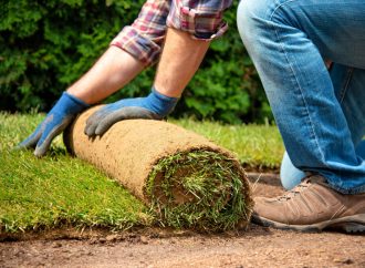 Czy warto stawiać na trawnik z rolki?