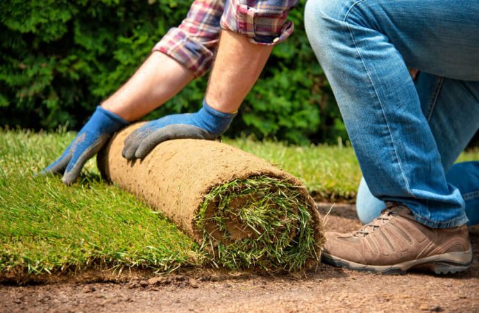 Czy warto stawiać na trawnik z rolki?