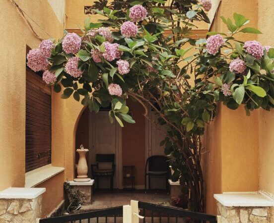 Kwiaty na balkonie – jakie wybrać